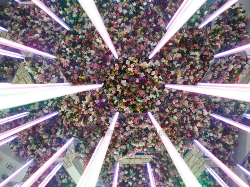 Фотобудка Калейдоскоп